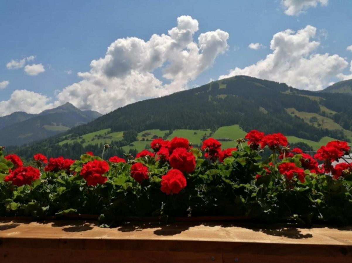 Haus Raimund " Klein Aber Fein " Apartment อัลพ์บาค ภายนอก รูปภาพ