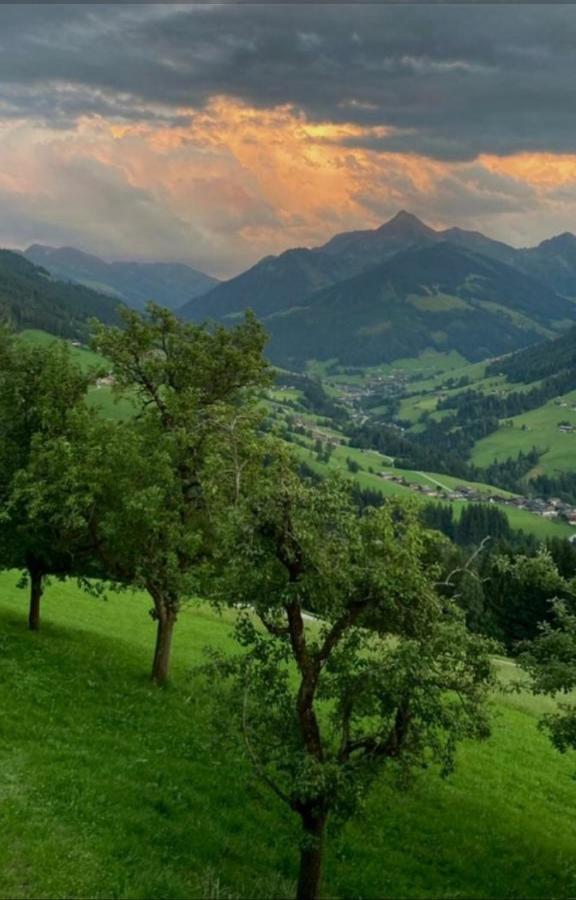 Haus Raimund " Klein Aber Fein " Apartment อัลพ์บาค ภายนอก รูปภาพ
