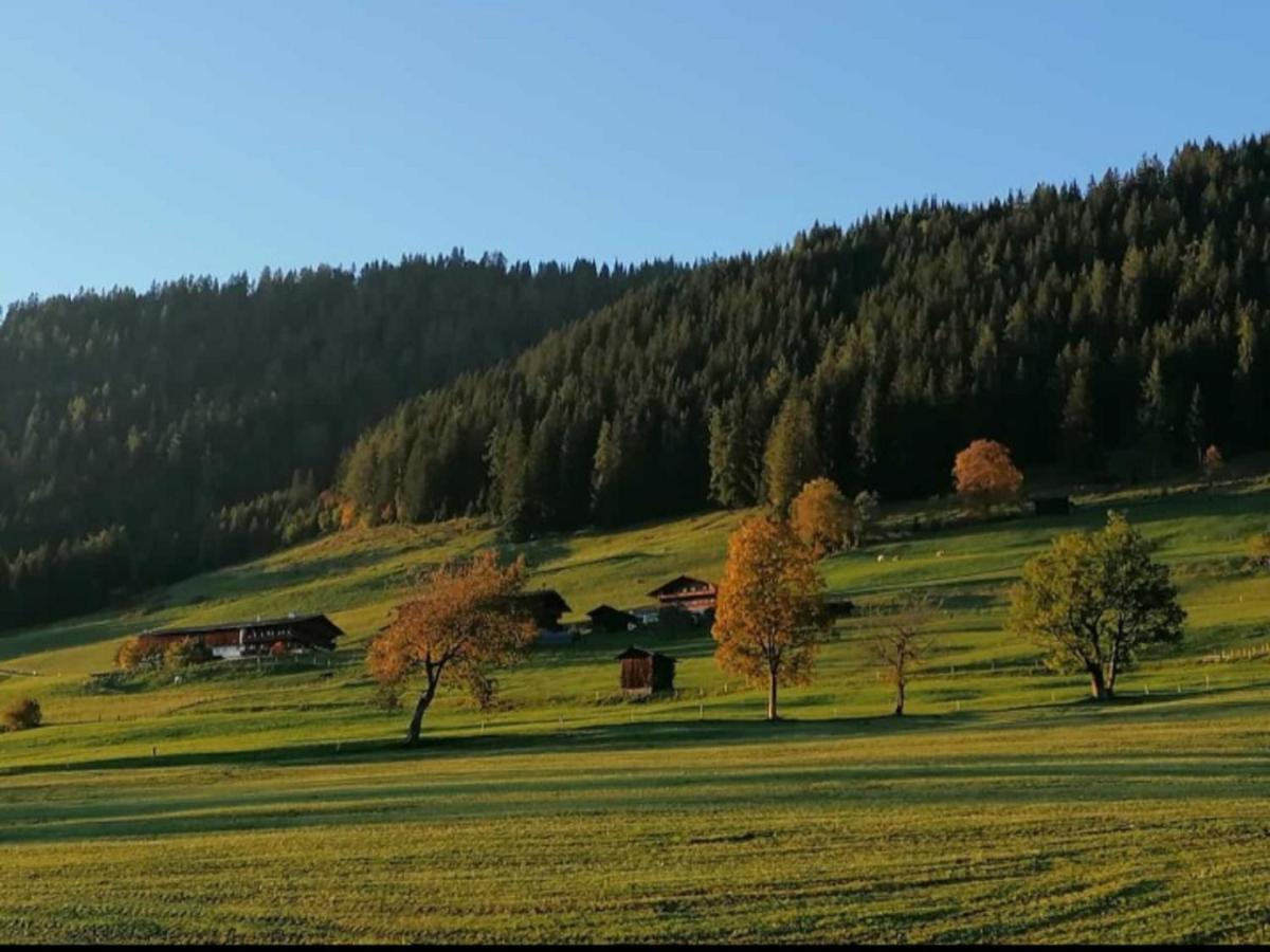 Haus Raimund " Klein Aber Fein " Apartment อัลพ์บาค ภายนอก รูปภาพ